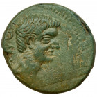 Roman Provincial, Macedon, Philippi, Tiberius, AE19 - VERY RARE Very rare bronze, we only got 4 records on Coinarchives. Roman Provincial, Macedon Tib...