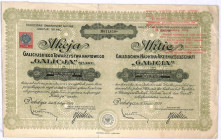 Galicyjskie Towarzystwo Naftowe 'Galicja' - 238 mkp, 1924 rok Bardzo dużych rozmiarów akcja znaczącej w polskiej branży naftowej spółki. Posiadała m.i...