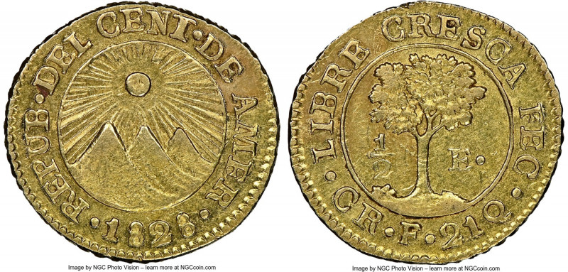 Central American Republic gold 1/2 Escudo 1828 CR-F AU58 NGC, San Jose mint, KM1...