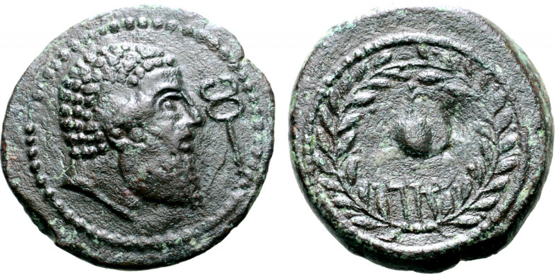 Islands off Sicily, Melita Æ 23mm. Circa 220-218 BC. Bare and bearded head of Es...