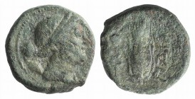 Northern Lucania, Paestum, after 211 BC. Æ Uncia (12mm, 2.41g, 9h). Wreathed head of Demeter r.; pellet behind. R/ Grain ear; caduceus and pellet to l...