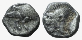 Mysia, Kyzikos, c. 450-400 BC. AR Obol (8mm, 0.78g, 3h). Forepart of boar l.; to r., tunny upward. R/ Head of lion l. within incuse square; [K above]....