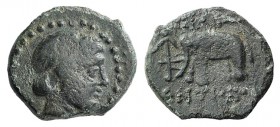 Seleucid Kings, Antiochos III (222-187 BC). Æ (10mm, 2.21g, 12h). Sardes, c. 222-187. Laureate head of Apollo r. R/ Elephant standing l., anchor to l....