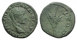 Severus Alexander (222-235). Bithynia, Nicaea. Æ (20.5mm, 4.69g, 7h). Laureate head r. R/ Five grain ears bundled together. RPC VI online 3199 (tempor...