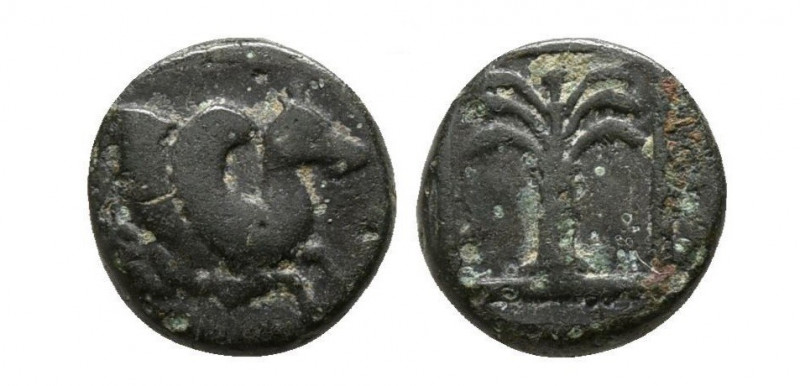 Bronze Æ
Troas, Skepsis, c. 400-300 BC. Pegasos Forepart Rhyton / Palm Σ -K
7 ...