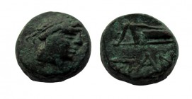 Bronze Æ
Black Sea
12 mm, 3,43 g