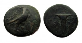 Bronze Æ
Kyme
18 mm, 3,65 g