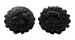 Bronze Æ
Antiochos VI Dionysos (144-142 BC), Head of Antiochos right, wearing ivy wreath / elephant walking left
22 mm, 6,97 g