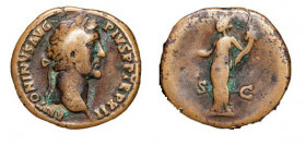 Sestertius Æ
Antoninus Pius (138-161), ANTONINVS AVG PIVS P P TR P COS III, laureate head right / PAX AVG S C, Pax standing holding olive branch and ...