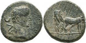 Bronze Æ
Macedon, Philippi, Augustus 27 BC-AD 14
18 mm, 4,60 g
RPC 1656