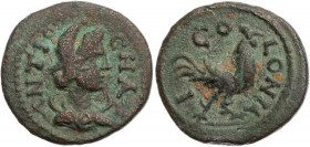 Quadrans Æ
Pisidia, Antioch, Septimus Severus AD 193-211, ANTIO-CHA / CO-LONIA-I
13 mm, 1,32 g
Krzyzanowska 170 XVIII/20 Taf. 27 = SNG France 1066