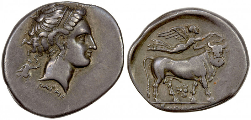 CAMPANIA: Neapolis, AR nomos (7.26g), ca. 320-300 BC, SNG ANS 349 (same dies), h...