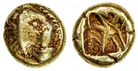 IONIA: Uncertain, EL hemihekte (1/12 stater) (1.15g), ca. 650-600 BC, SNG Kayhan—, SNG von Aulock—, Lydo-Milesian standard, head of lion right // incu...