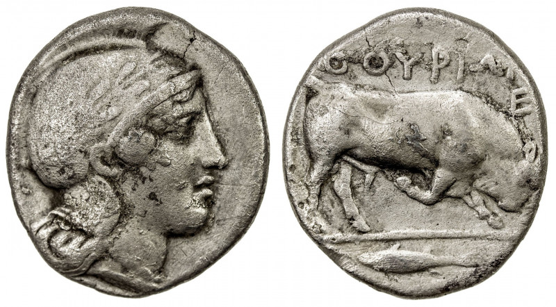 LUCANIA: Thourioi, AR stater (7.51g), ca. 443-400 BC, SNG ANS 891, HN Italy 1761...