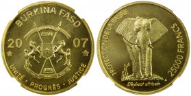 BURKINA FASO: Republic, AV 25,000 francs, 2007, 0.2500 oz AGW, Wildlife Protection Series, African Elephant, essai, mintage of only 85 pieces, matte f...
