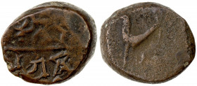 NAGAS: Bhimanaga, ca. 200 AD, AE unit (2.46g), Pieper-1052 (this piece), peacock standing left // Brahmi legend maharaja / bhimanaga, VF, RR, ex Wilfr...