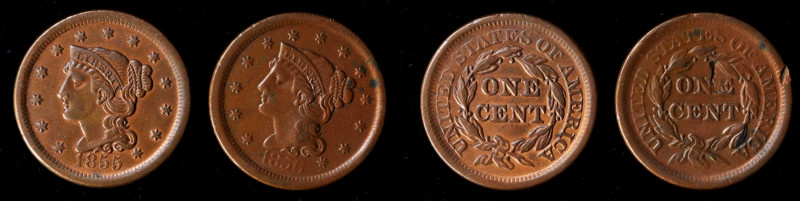 Lot of (2) Late Date Braided Hair Cents with Reverse Rim Cuds.

Included are: ...