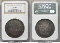 Central American Republic 8 Reales 1826 NG-M AU50 NGC, Nueva Guatemala mint, KM4. Lavender tinted carbon toning. 

HID09801242017

© 2020 Heritage...