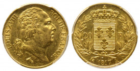 France. Louis XVIII 1815-1824
20 Francs, Paris, 1817 A, AU 6.45 g.
Ref : G.1028, Fr.539
Conservation : PCGS AU 58