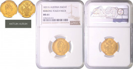 FRANCIS II / I (1792 - 1806 - 1835)&nbsp;
1 Ducat (ribbons touch neck), 1831, A. Früh 106&nbsp;

about UNC | about UNC , NGC MS 61