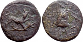 PONTOS. Amisos. Time of Mithradates VI Eupator (Circa 100-95 or 90-80 BC). Ae.