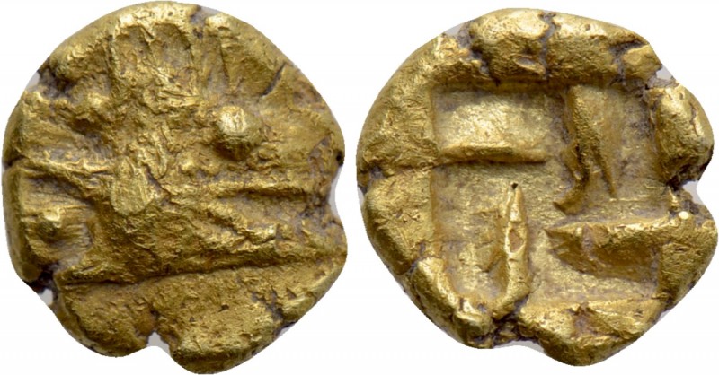 MYSIA. Kyzikos. EL 1/24 Stater (Circa 600-550 BC). 

Obv: Head of tunny tight....