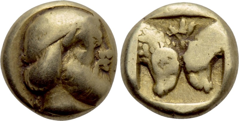 LESBOS. Mytilene. EL Hekte (Circa 454-428/7 BC). 

Obv: Diademed head of Silen...