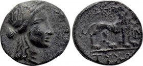 IONIA. Miletos. Drachm (Circa 225-190 BC). Tychon, magistrate.
