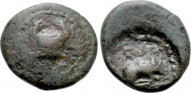 KYRENAICA. Kyrene. Time of Ptolemy I (Circa 308-305 BC). Ae. Uncertain magistrate.