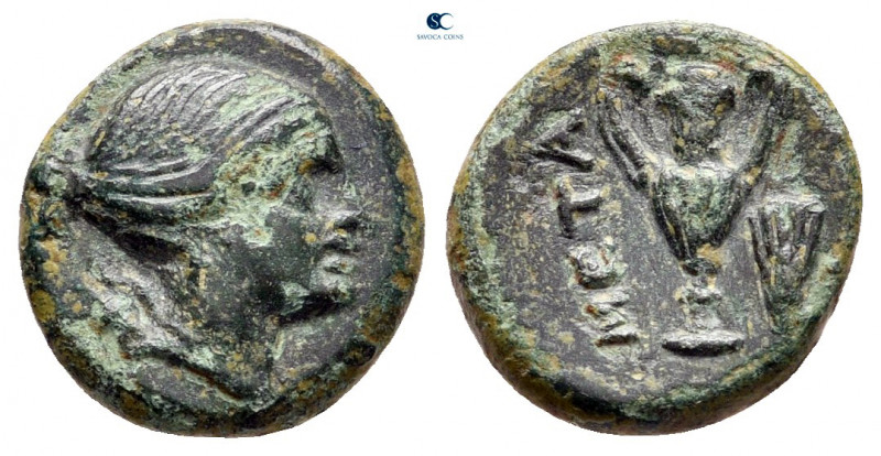 Lucania. Metapontion after circa 330 BC. 
Bronze Æ

12 mm, 1,33 g



very...