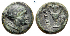 Lucania. Metapontion after circa 330 BC. Bronze Æ