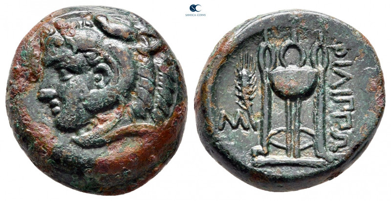 Macedon. Philippi circa 356-345 BC. 
Bronze Æ

18 mm, 6,67 g



good very...