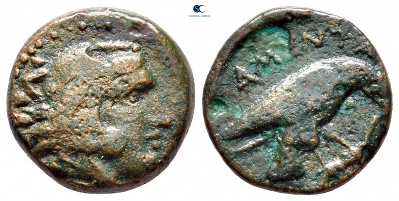 Kings of Macedon. Aigai or Pella. Amyntas III 393-369 BC. 
Bronze Æ

14 mm, 3...