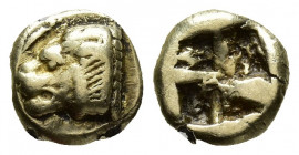 Greek Coins
IONIA, Phokaia. Circa 478-387 BC. EL Hekte Lion’s head left; seal below / Incuse punch. 
Weight: 2 Diameter: 9.6