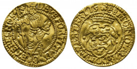 Medieval and World
Netherlands, Dutch Republic AV Ducat. West Friesland mint, 1588. DEVS FORTITVD O ET SPESNOS, crowned knight or ruler standing facin...