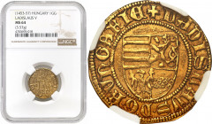 Medieval coins collection - WORLD
POLSKA / POLAND / POLEN / SCHLESIEN / GERMANY

Hungary. Władysław V. Goldgulden no date, Kremnica NGC MS64 RARITY...