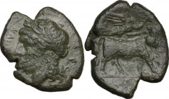 Greek Italy. Samnium, Southern Latium and Northern Campania, Compulteria. AE 20 mm, (c. 265-240 BC). Obv. 'kumpulterum' (in Oscan) Laureate head of Ap...
