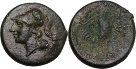 Greek Italy. Samnium, Southern Latium and Northern Campania, Suessa Aurunca. AE 19 mm, 265-240 BC. Obv. Helmeted head of Athena left. Rev. Rooster sta...