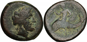 Greek Italy. Northern Lucania, Paestum. AE 20 mm, first Punic War, 264-241. Obv. Laureate head of Neptune right. Rev. Dolphin rider left. Cf. HN Italy...