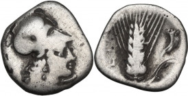 Greek Italy. Southern Lucania, Metapontum. AR Diobol, 325-275 BC. Obv. Helmeted head of Athena right. Rev. Ear of barley, leaf right; to right, cornuc...