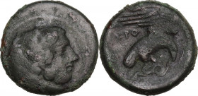 Greek Italy. Bruttium, Kroton. AE 19 mm, second half of 4th century BC. Obv. Head of Herakles right, wearing lion's skin; above, ΔΙ. Rev. Eagle on sna...
