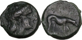 Sicily. Segesta. AE 17 mm, after 415 BC. Obv. Head of nymph right. Rev. Hound standing right, head lowered. CNS I 46. AE. 5.96 g. 17.00 mm. R. Dark gr...