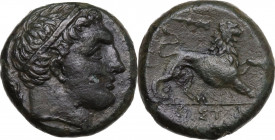 Sicily. Syracuse. Agathokles (317-289 BC). AE Litra, struck c. 308-307 BC. Obv. [ΣYPAKOΣIΩN] Diademed head of Herakles right, hair bound with tainia; ...