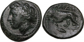 Continental Greece. Thracian Chersonesos, Kardia. AE 21 mm, 350-309 BC. Obv. Head of Persephone left, wearing wreath of grain. Rev. Lion standing left...
