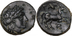 Greek Asia. Troas, Gargara. AE 9 mm, late 3rd-early 2nd century BC. Obv. Laureate head of Apollo right. Rev. Horse prancing right; below, bunch of gra...