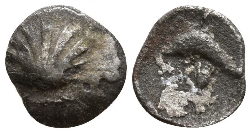 Calabria. Tarentum circa 325-280 BC.
1/4 Litra AR

6mm., 0,22g.

Cockle she...