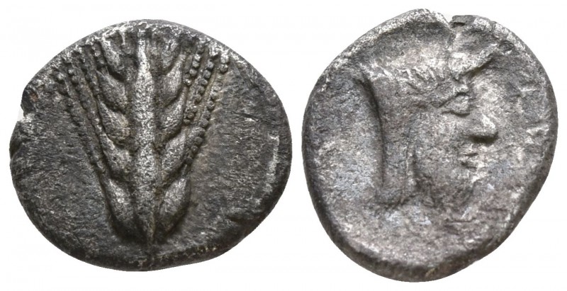 Lucania. Metapontion circa 440-430 BC.
Diobol AR

9mm., 0,87g.

Ear of barl...