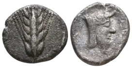 Lucania. Metapontion circa 440-430 BC. Diobol AR