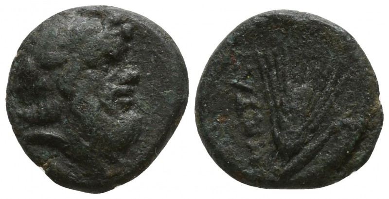 Lucania. Metapontion circa 350-250 BC.
Bronze Æ

10mm., 1,16g.

Head of bea...