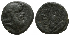 Lucania. Metapontion circa 350-250 BC. Bronze Æ